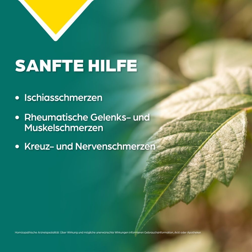 Grünes Blattwerk mit Text: Sanfte Hilfe bei Ischias-, Gelenk-, Muskel-, Kreuz- und Nervenschmerzen.