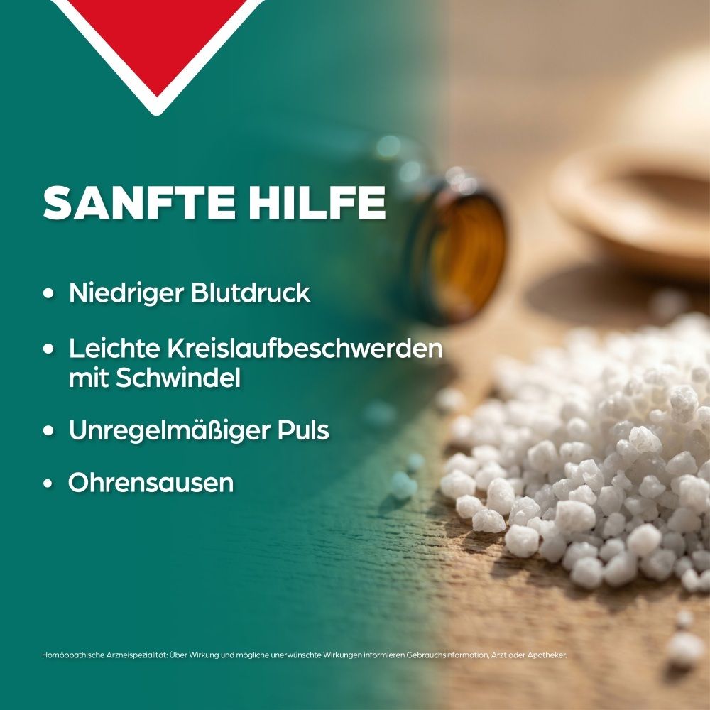 Sanfte Hilfe bei niedrigem Blutdruck, Kreislaufbeschwerden, unregelmäßigem Puls, Ohrensausen.