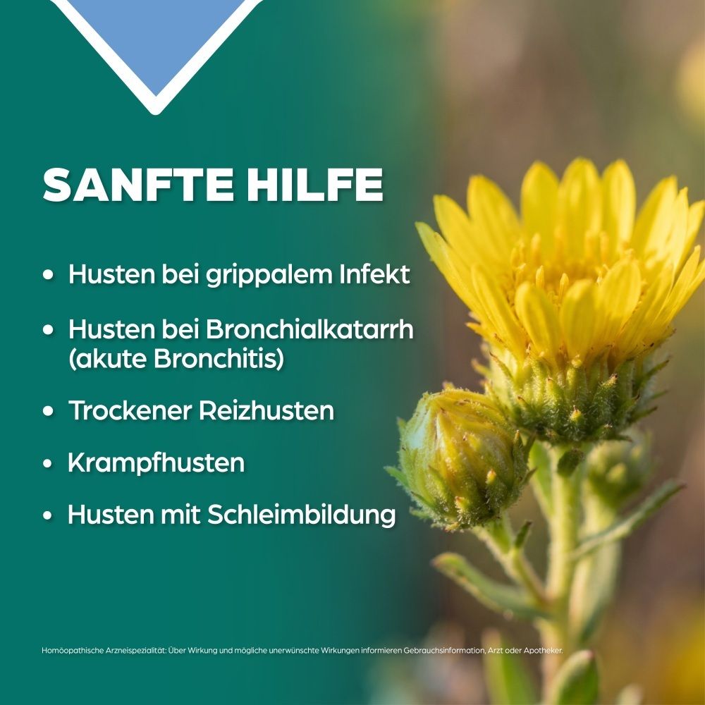 Gelbe Blume mit Blättern und Knospen, daneben Liste mit Hustenarten.