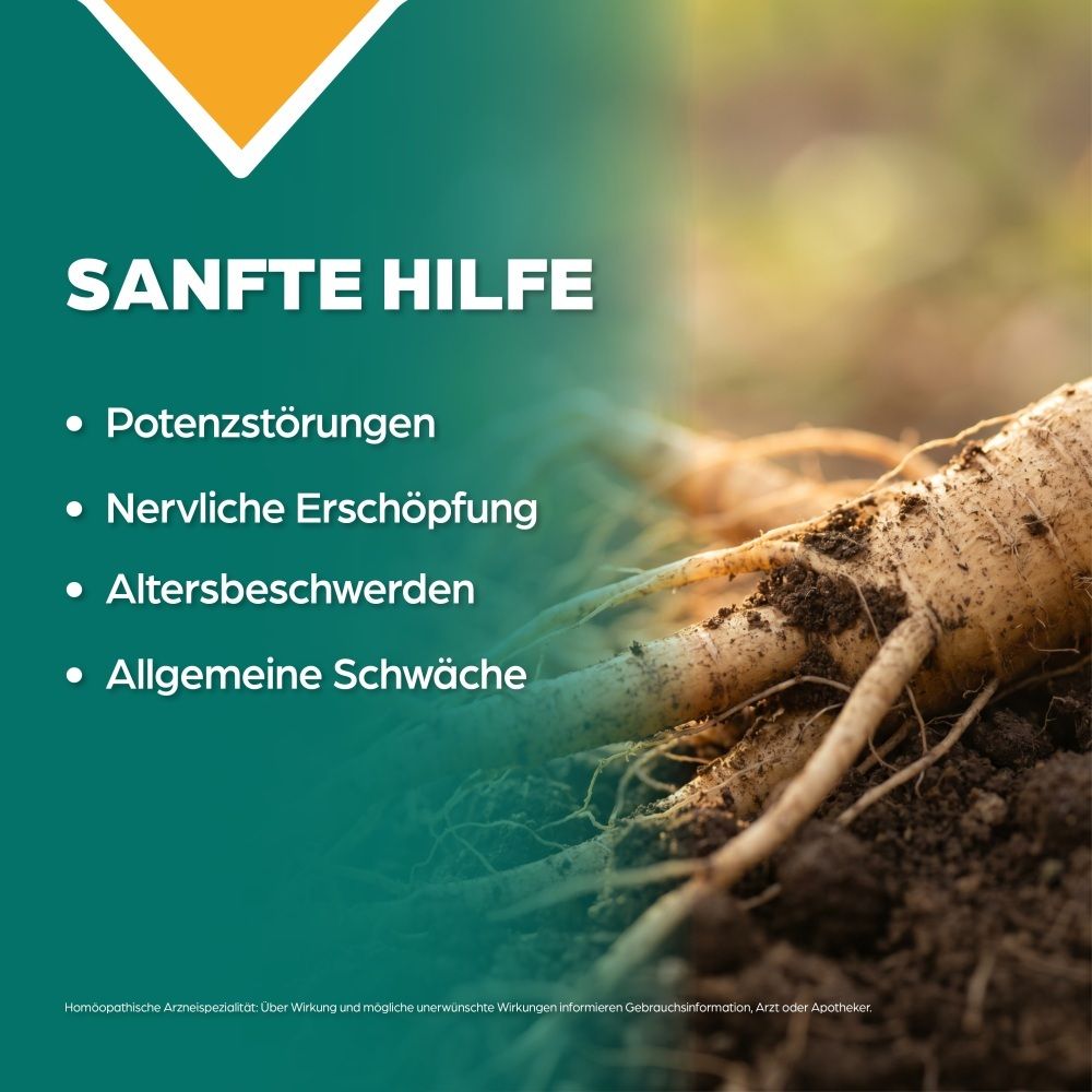 Wurzelgemüse und Liste homöopathischer Anwendungsgebiete: Potenzstörungen, Erschöpfung, Altersbeschwerden, Schwäche.