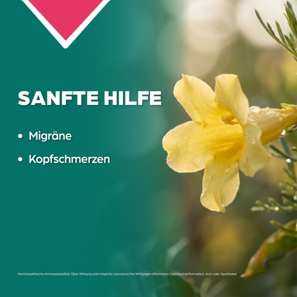Gelbe Blüte mit Wassertropfen, Text: Sanfte Hilfe bei Migräne & Kopfschmerzen.