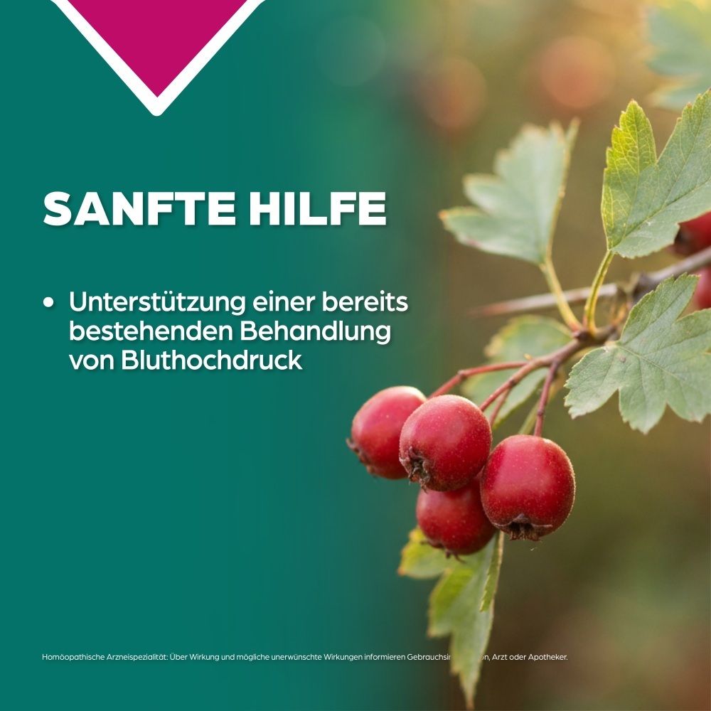 Zweig mit roten Beeren und Blättern. Text: "Sanfte Hilfe".