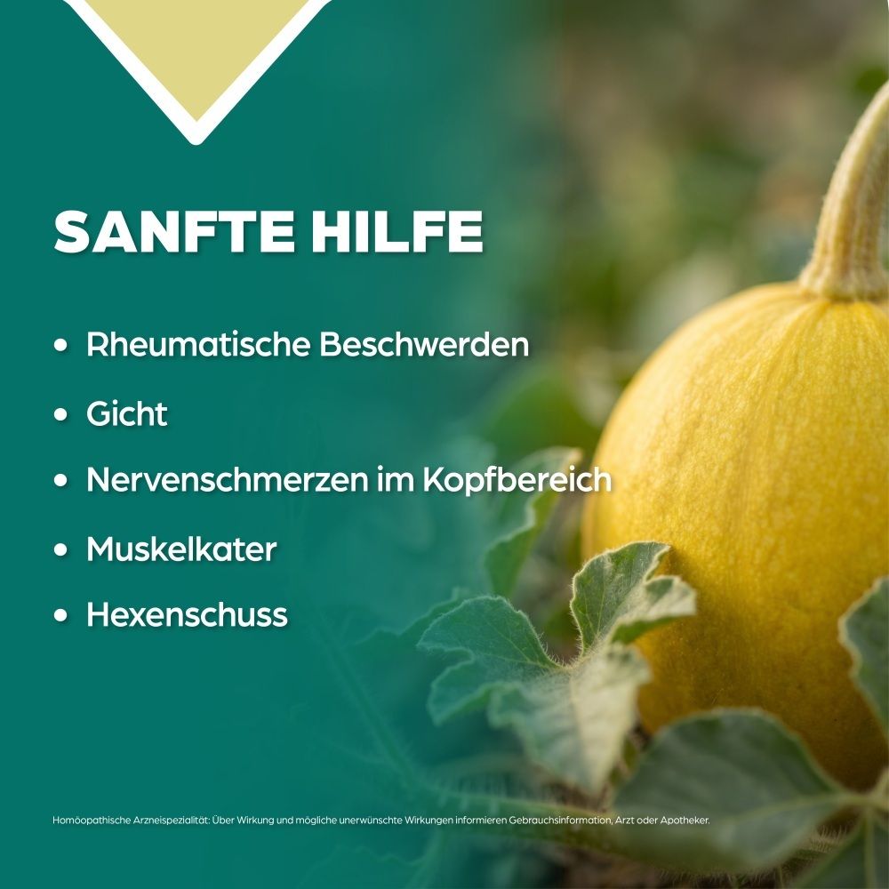 Gelbe Kürbisfrucht mit Blättern, Text: Sanfte Hilfe bei rheumatischen Beschwerden, Gicht, Nervenschmerzen.