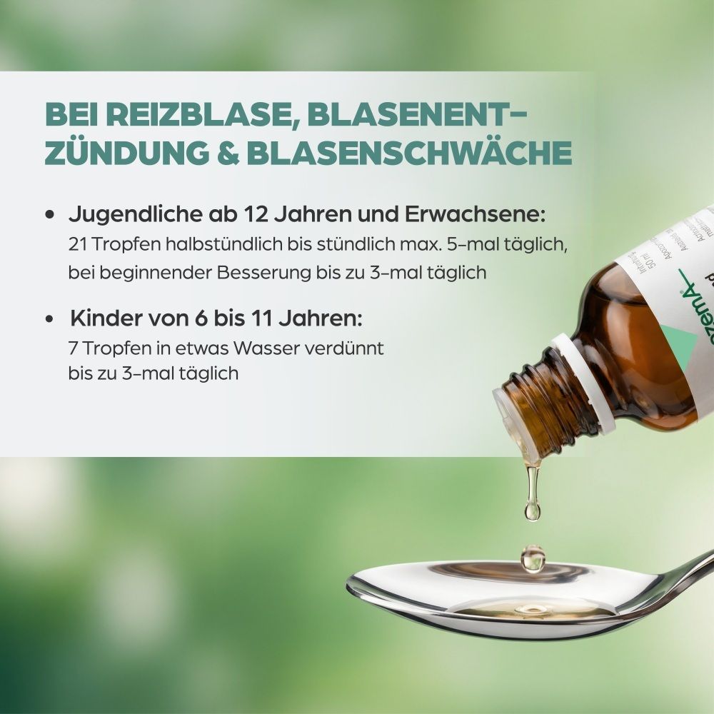 Apozema Reizblasen Tropfen Nr. 26: Tropfen werden aus einer Flasche auf einen Löffel gegeben.