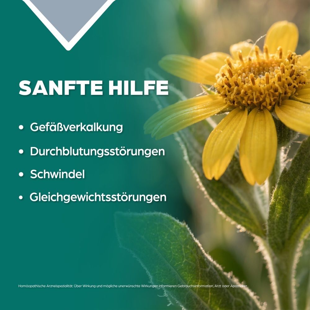 Gelbe Blume mit grünen Blättern und Text: SANFTE HILFE, Gefäßverkalkung, Durchblutungsstörungen, Schwindel, Gleichgewichtsstörungen.