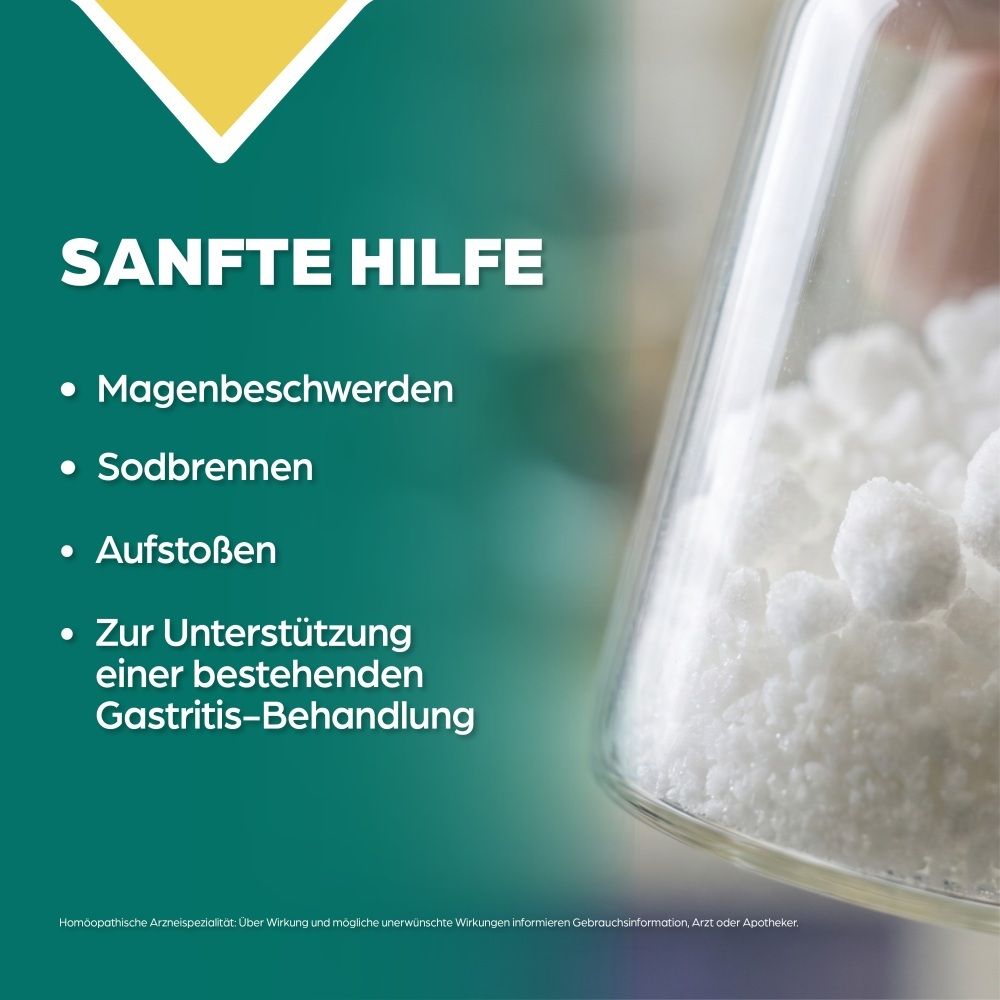 Apozema Gastritis Tropfen Nr. 16: Liste von Magenbeschwerden und unterstützende Behandlung.