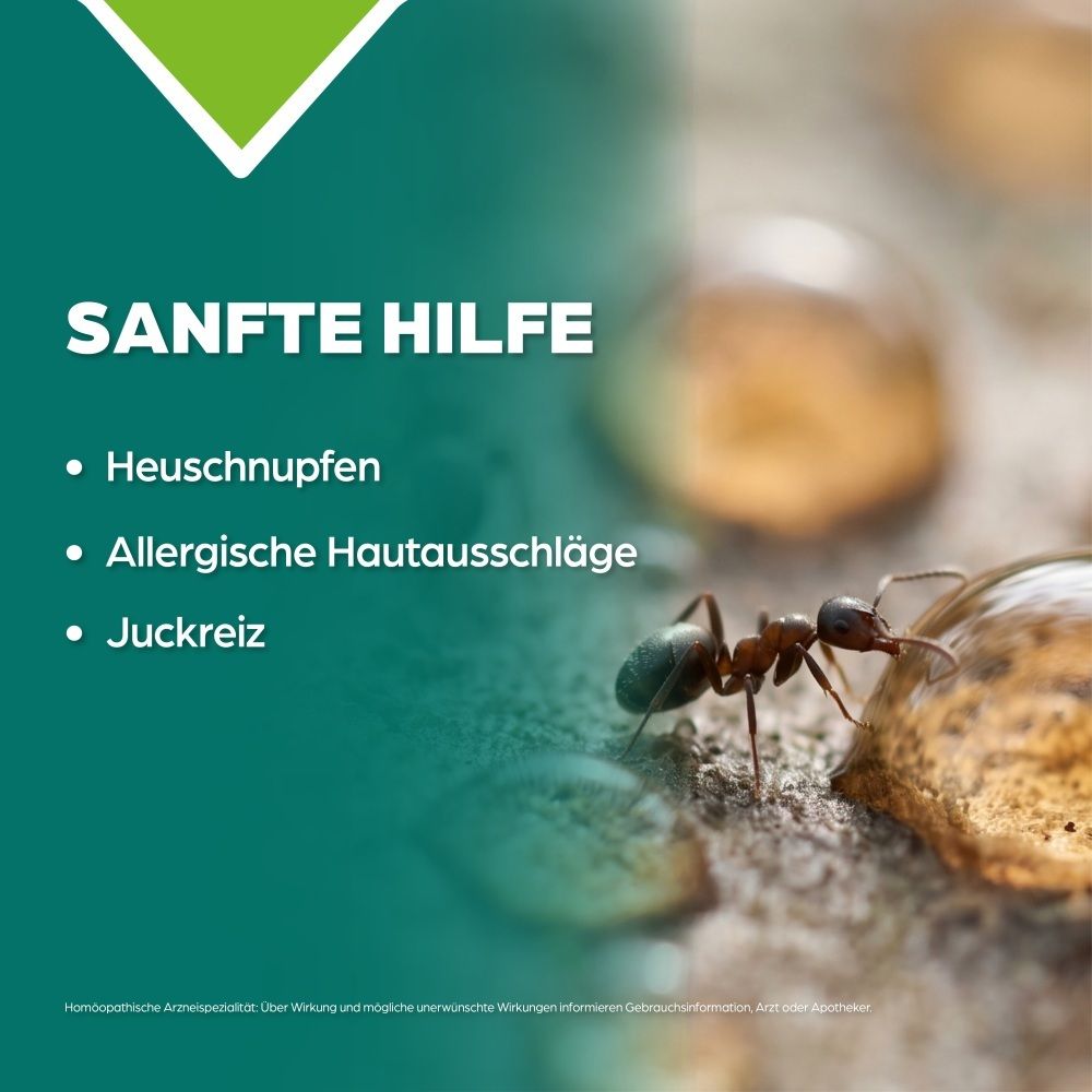 Nahaufnahme einer Ameise auf einer Oberfläche mit Tautropfen. Text: Sanfte Hilfe bei Heuschnupfen, Hautausschlägen, Juckreiz.
