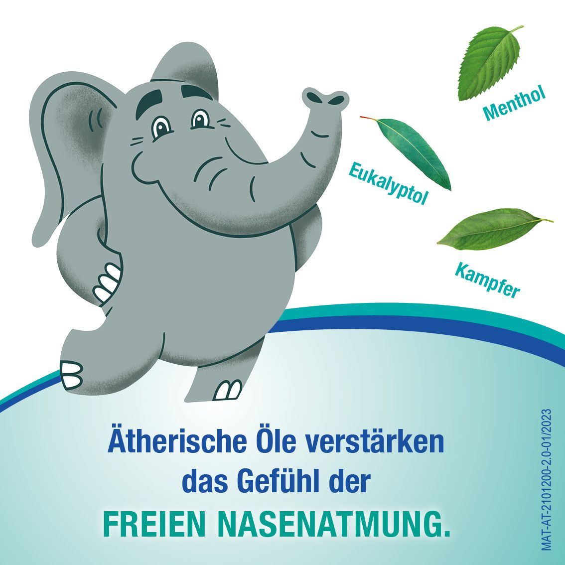 Rhinospray® plus ätherische Öle - Nasenspray