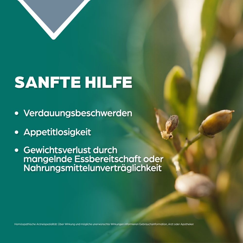 Apozema Magen und Darm Nr. 37: Sanfte Hilfe bei Verdauungsbeschwerden, Appetitlosigkeit, Gewichtsverlust.