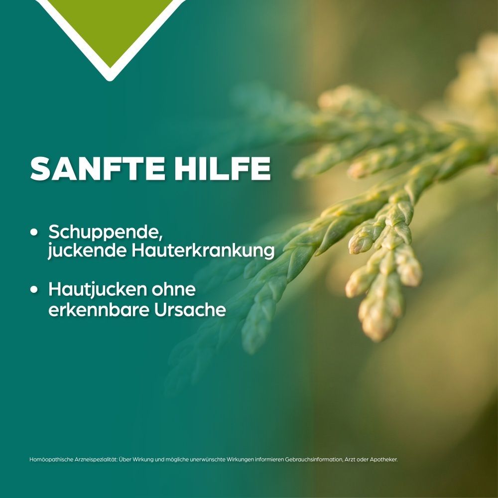 Nahaufnahme eines grünen Zweiges mit Wassertropfen. Text: Sanfte Hilfe bei schuppender, juckender Haut.