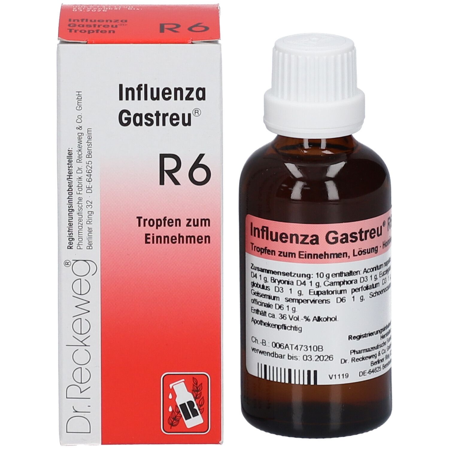 Dr. Reckeweg® Influenza-Gastreu® R6