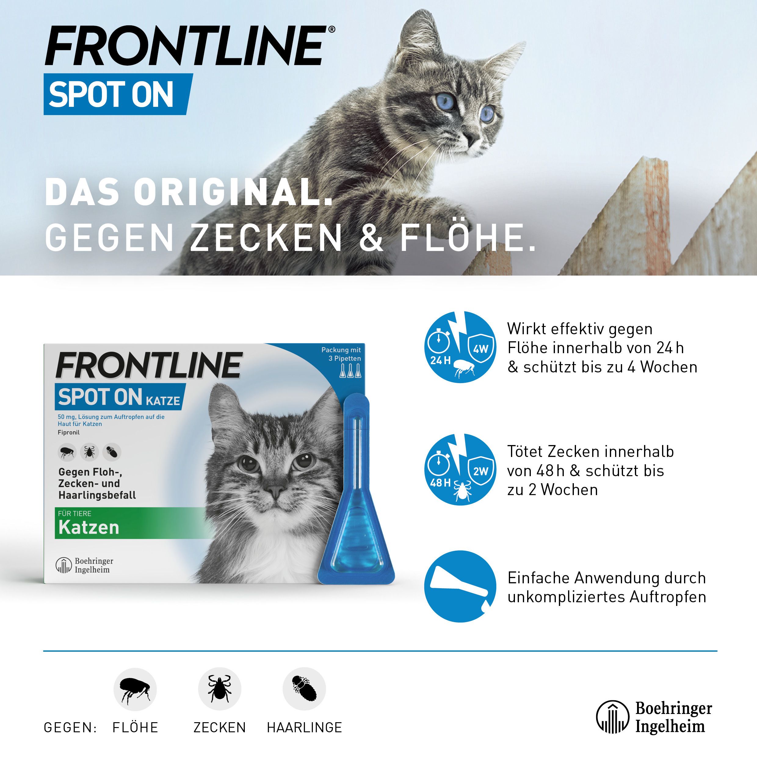 FRONTLINE Spot on gegen Zecken und Flöhe Katze