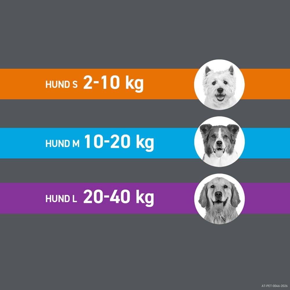 Drei Hunde mit Größenangaben: S (2-10 kg), M (10-20 kg), L (20-40 kg).