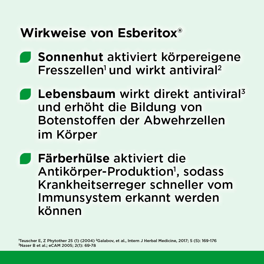 Text: Wirkweise von Esberitox®. Sonnenhut aktiviert Fresszellen, Lebensbaum wirkt antiviral, Färberhülse aktiviert Antikörper.