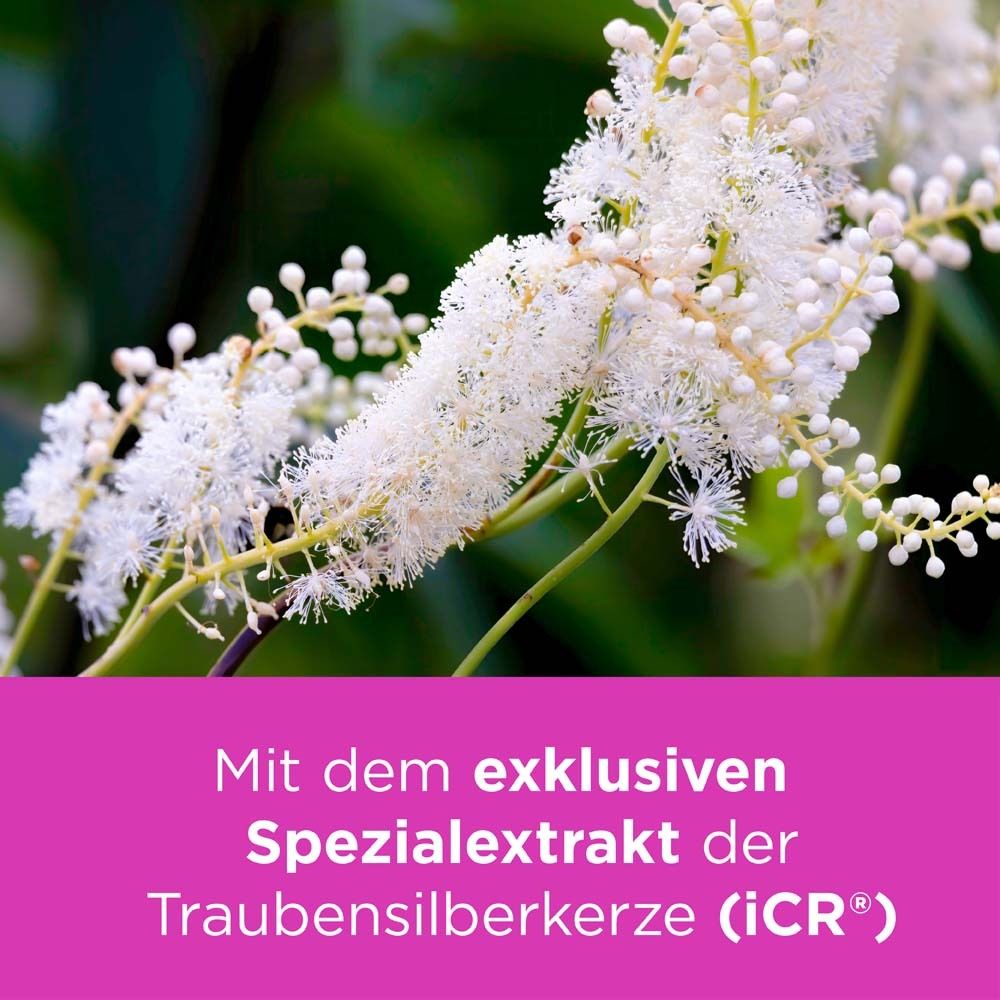 Blütenzweig der Traubensilberkerze. Text: Mit dem exklusiven Spezialextrakt der Traubensilberkerze (iCR®).
