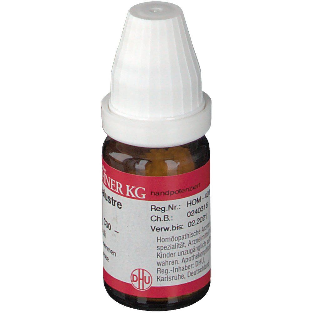 DR. PEITHNER KG Ledum palustre DHU C30