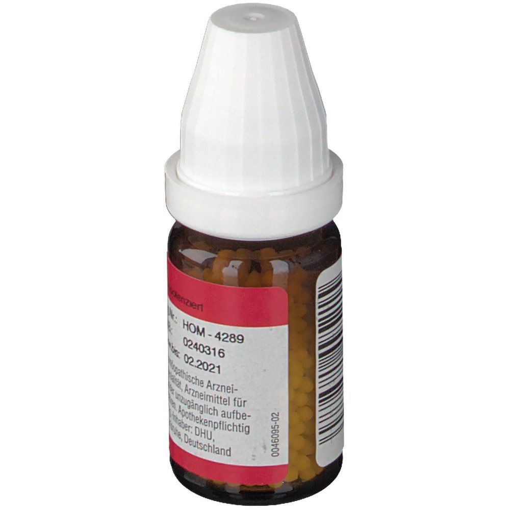 DR. PEITHNER KG Ledum palustre DHU C30