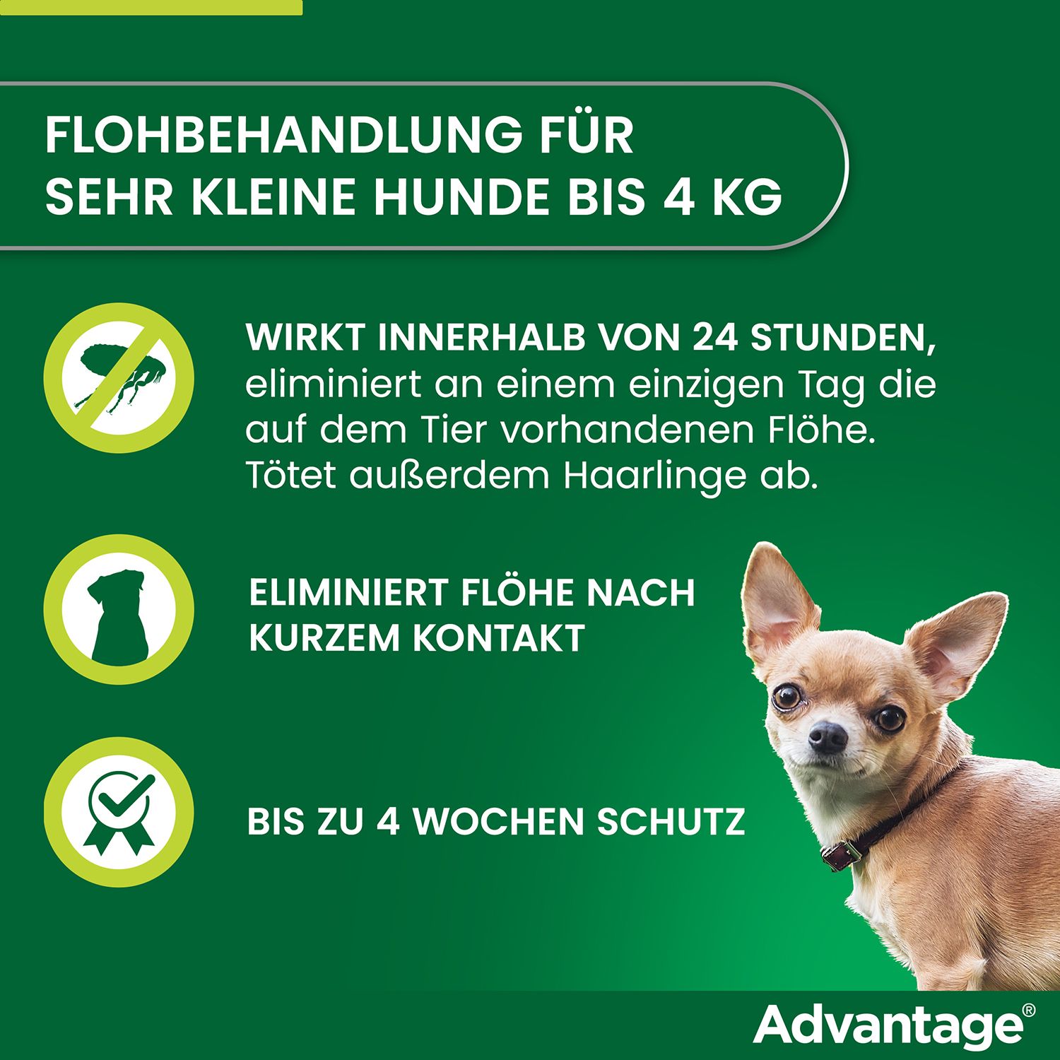 advantage® 40 mg bei Hunden bis 4 kg Körpergewicht