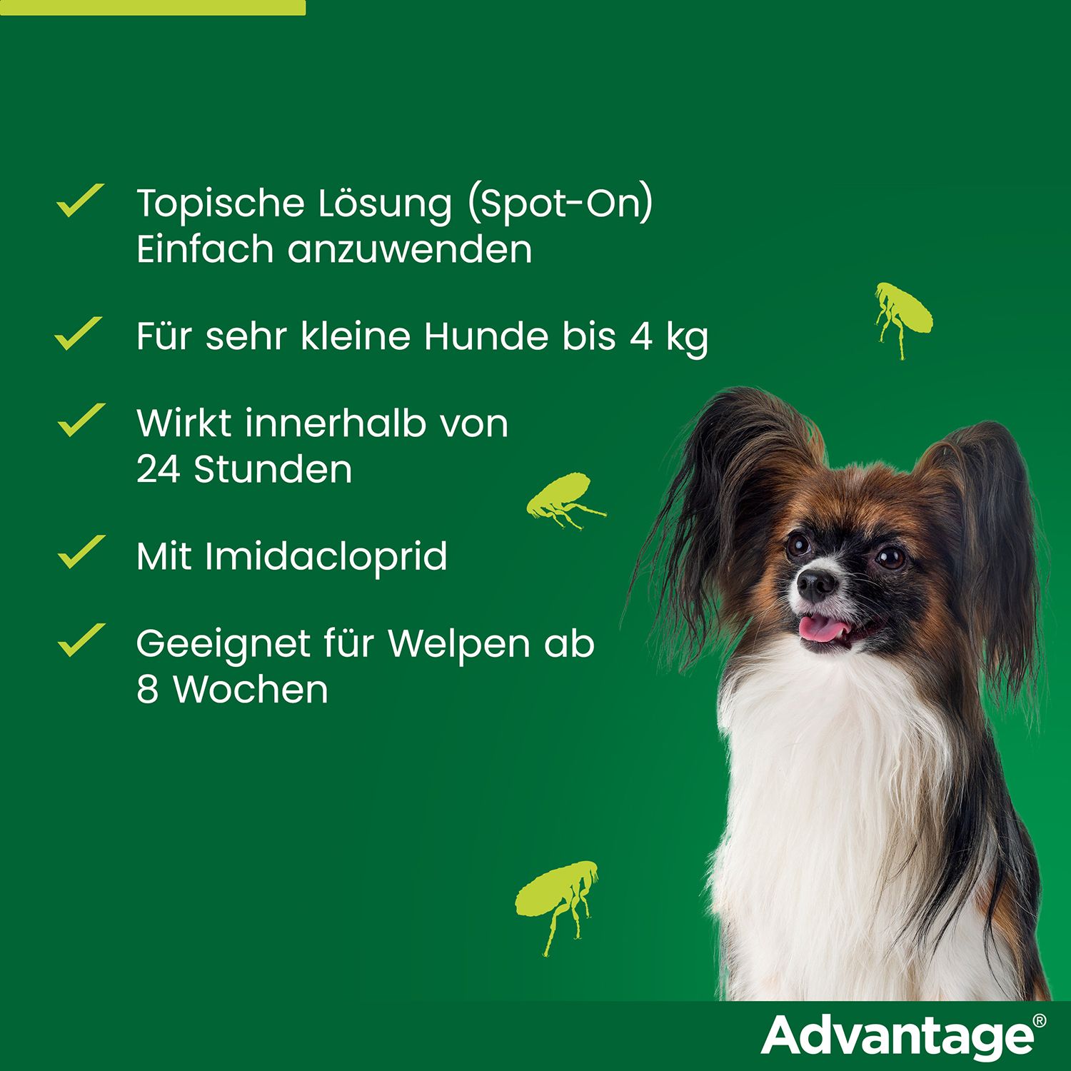 advantage® 40 mg bei Hunden bis 4 kg Körpergewicht