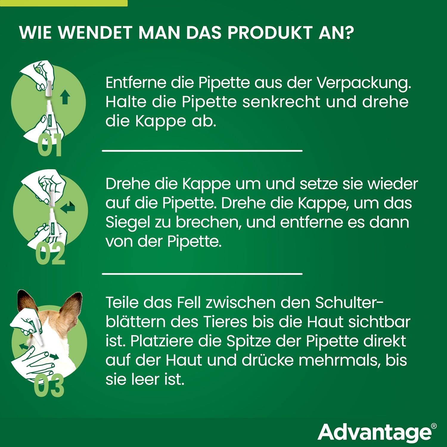 advantage® 40 mg bei Hunden bis 4 kg Körpergewicht