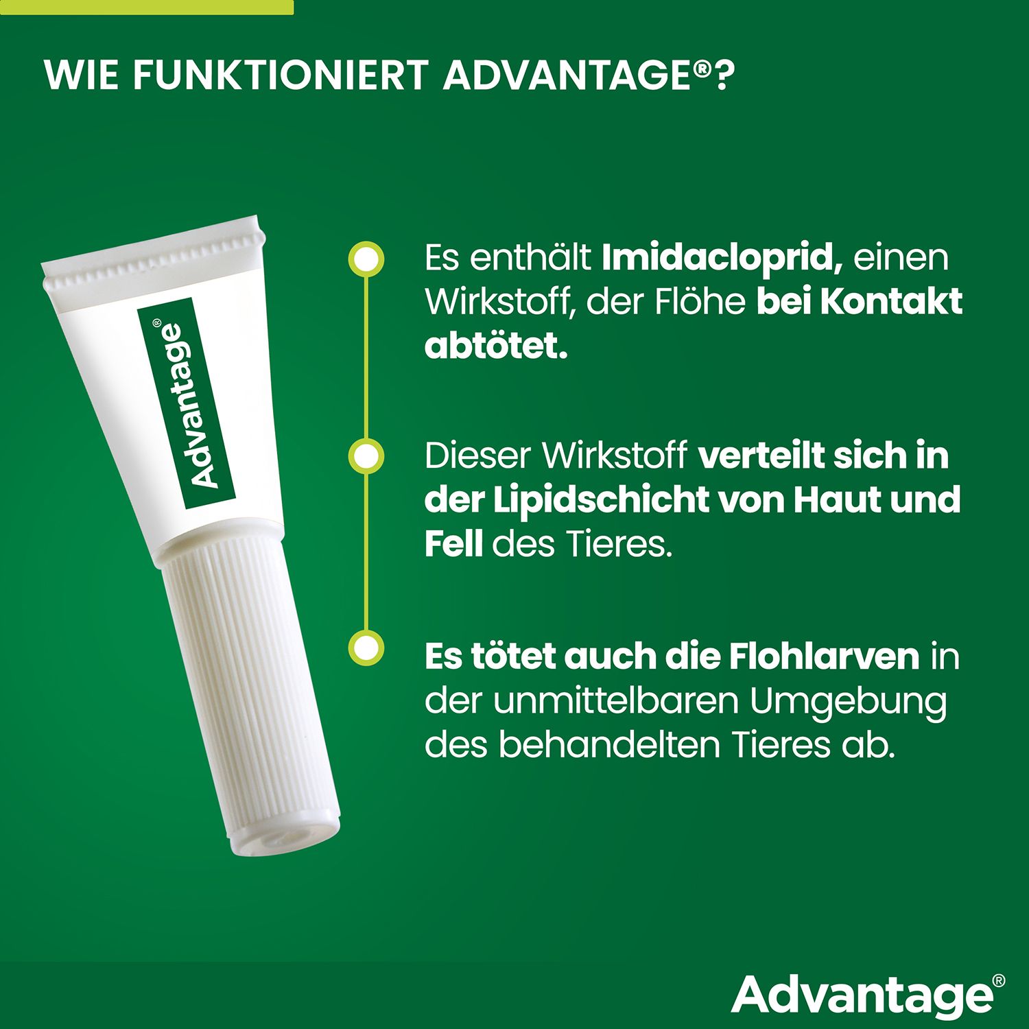 advantage® 40 mg bei Hunden bis 4 kg Körpergewicht