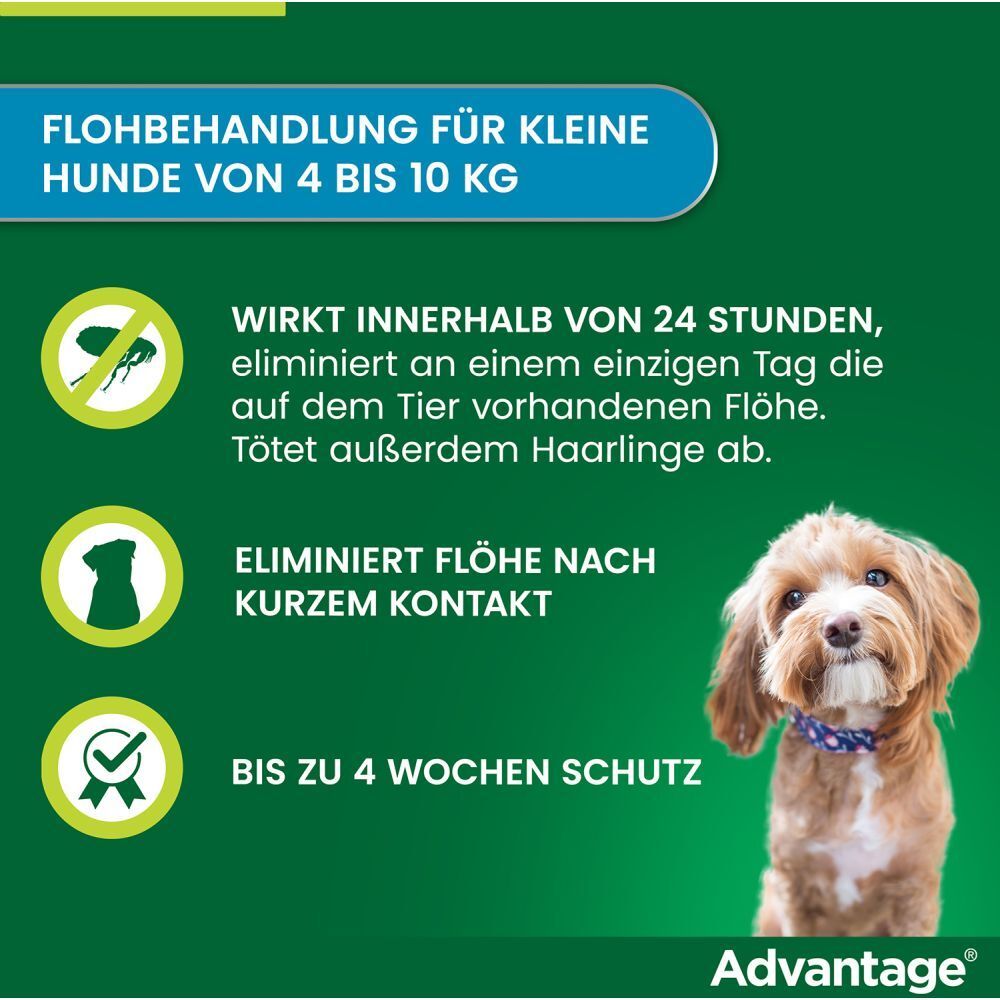 advantage® 100 mg bei Hunden von über 4 bis 10 kg Körpergewicht