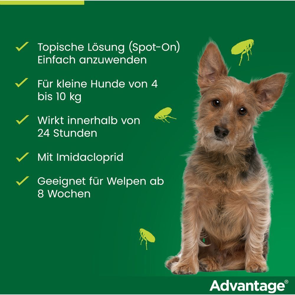 advantage® 100 mg bei Hunden von über 4 bis 10 kg Körpergewicht