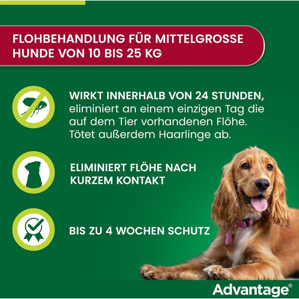 advantage® 250 mg bei Hunden von über 10 bis 25 kg Körpergewicht