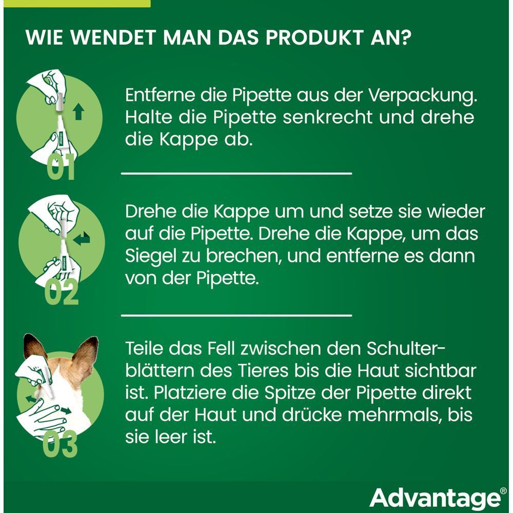 advantage® 250 mg bei Hunden von über 10 bis 25 kg Körpergewicht