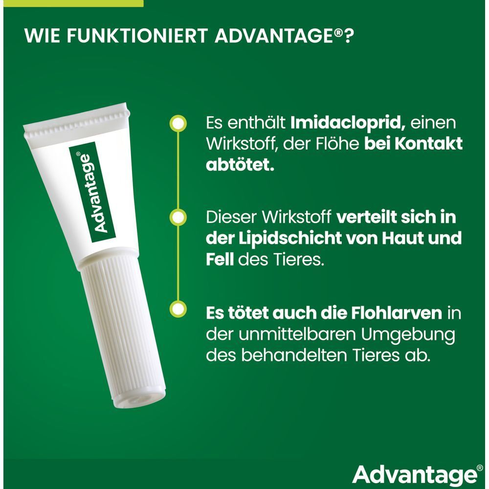 advantage® 250 mg bei Hunden von über 10 bis 25 kg Körpergewicht