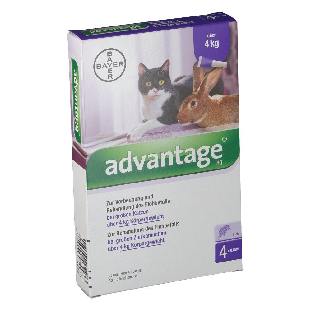 advantage® 80 mg für große Katzen und Zierkaninchen