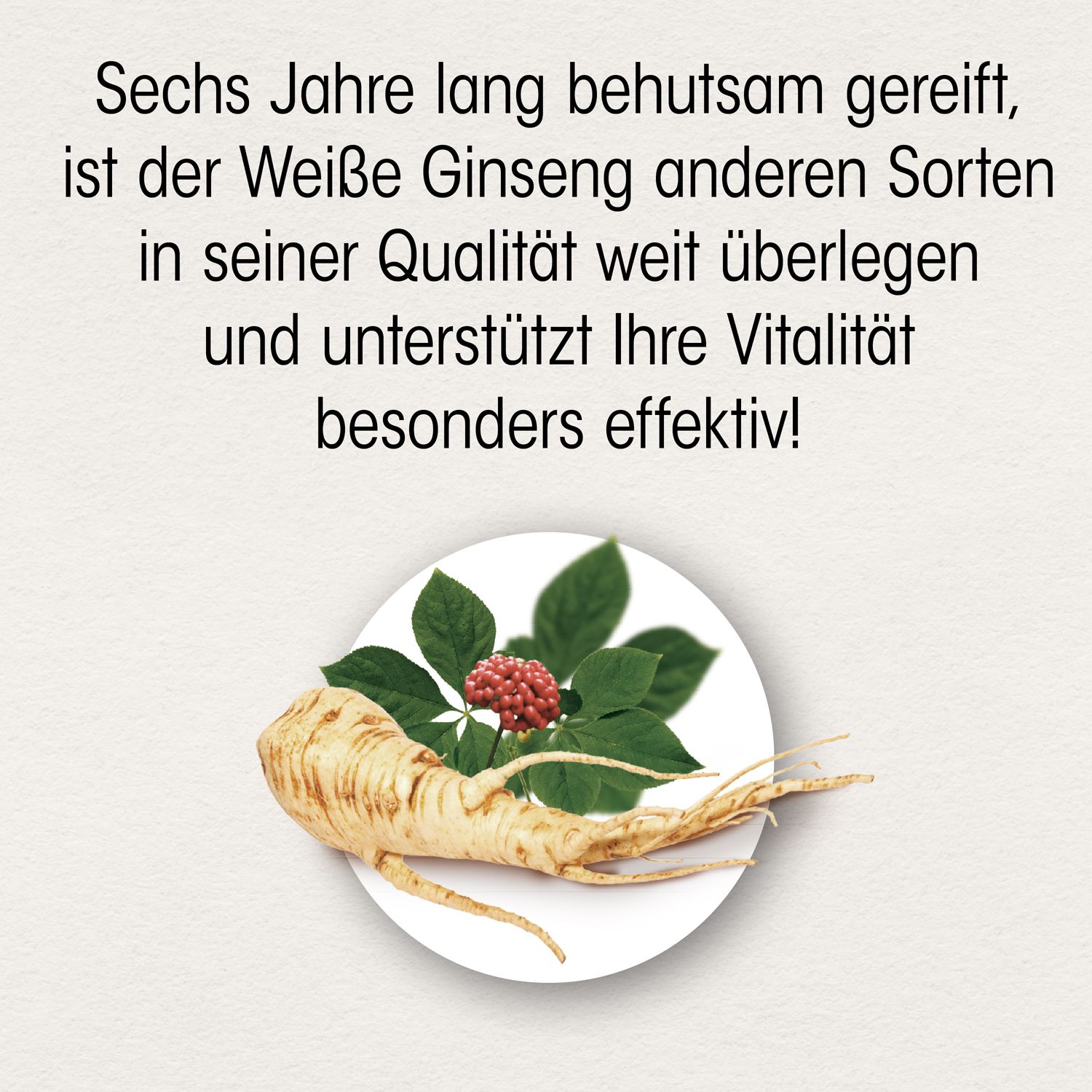 Dr. Böhm® Ginseng plus Tabletten