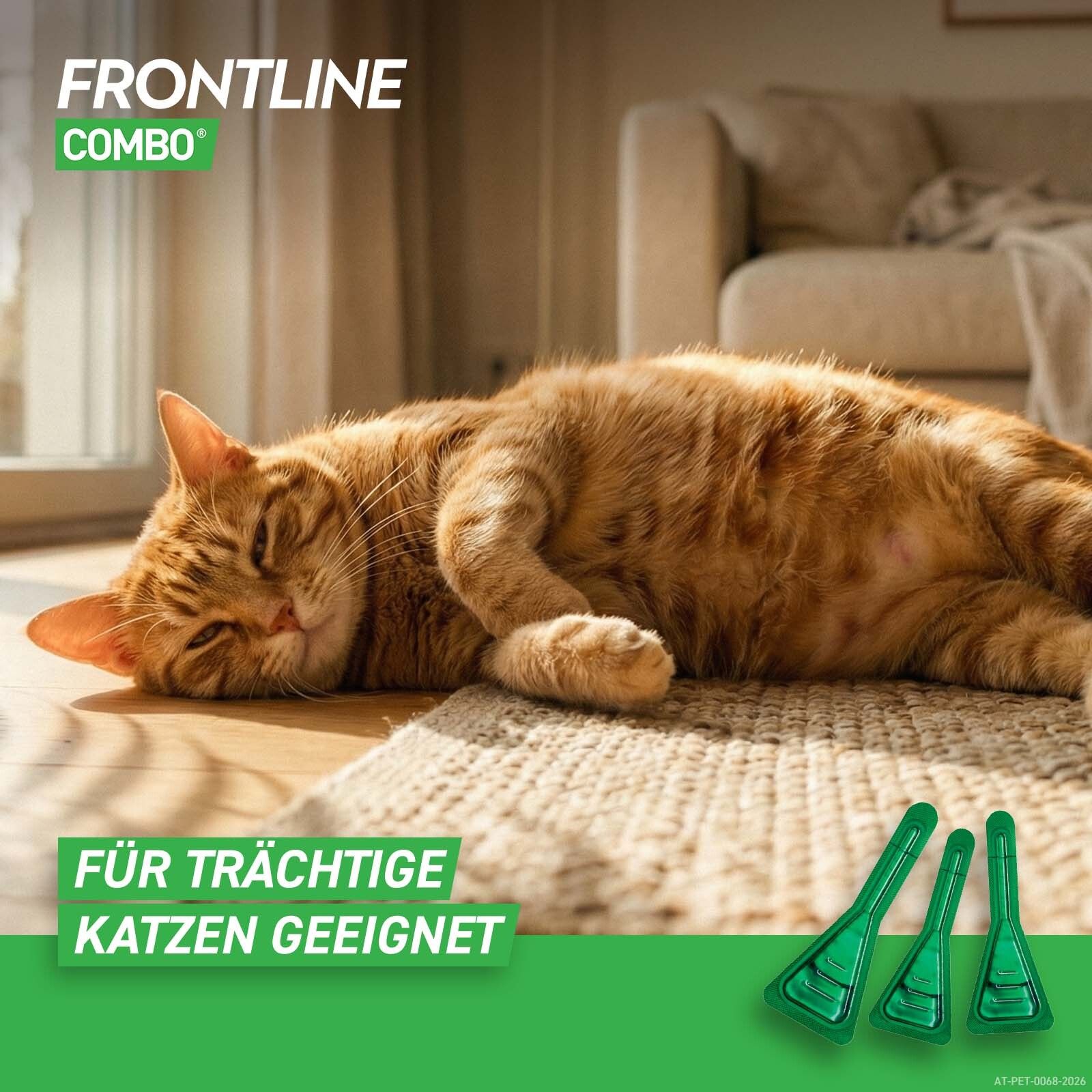 Katze liegt auf Teppich. Im Vordergrund 3 grüne Pipetten. Text: Für trächtige Katzen geeignet.