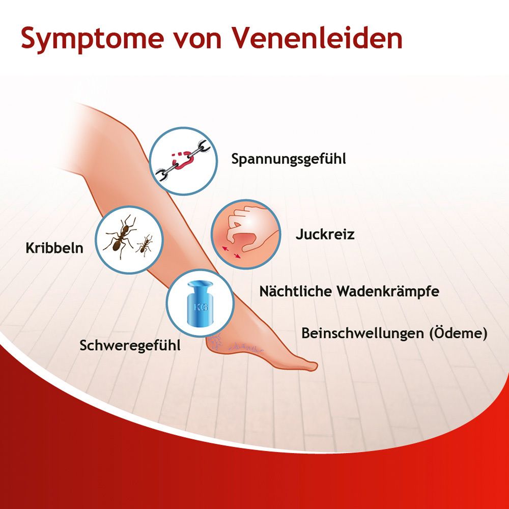 Antistax® 360 mg Filmtabletten bei Venenschwäche und Krampfadern