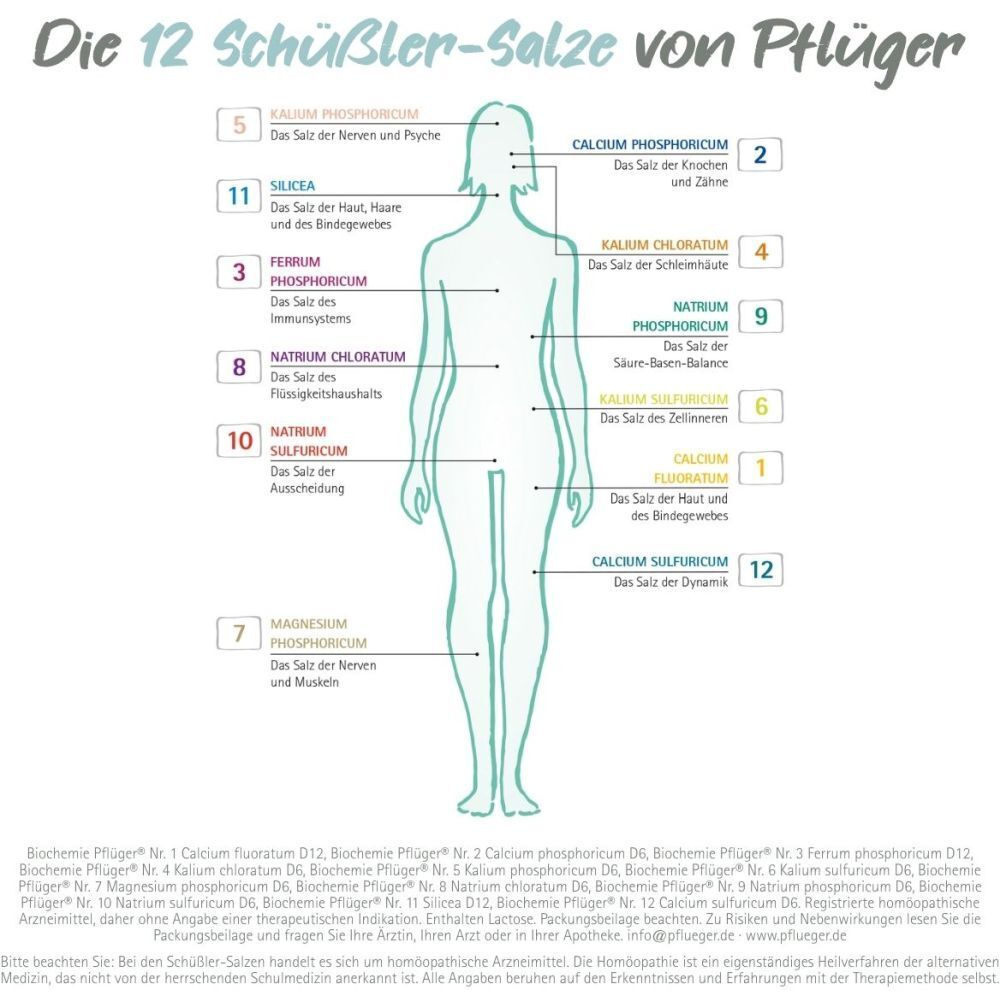 Grafik: 12 Schüßler-Salze von Pflüger. Darstellung des menschlichen Körpers mit Zuordnungen.