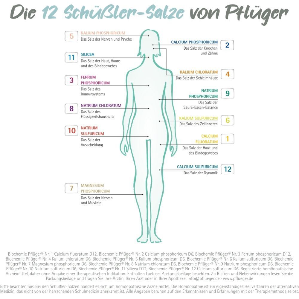Grafik einer menschlichen Figur mit den 12 Schüßler-Salzen von Pflüger. Jede Salznummer ist angegeben.