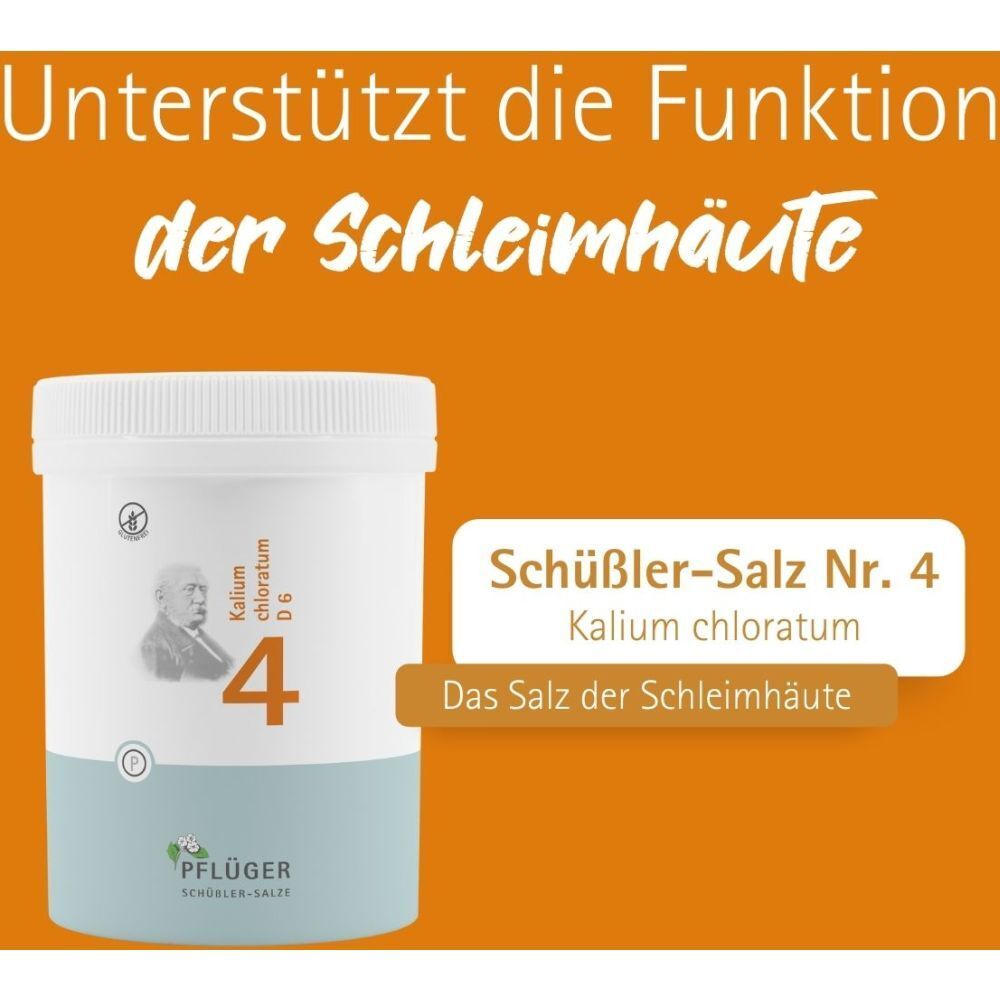 Produkt-Dose und Textfeld. Text: Schüßler-Salz Nr. 4 Kalium chloratum. Das Salz der Schleimhäute. Hintergrund orange.
