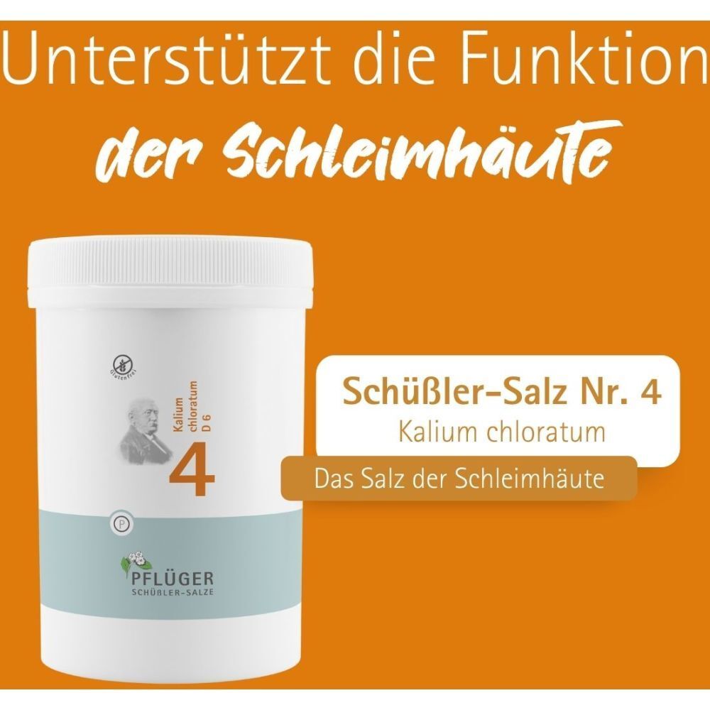 Produkt-Dose mit Text: "Schüßler-Salz Nr. 4 Kalium chloratum". Text auf orangefarbenem Hintergrund.