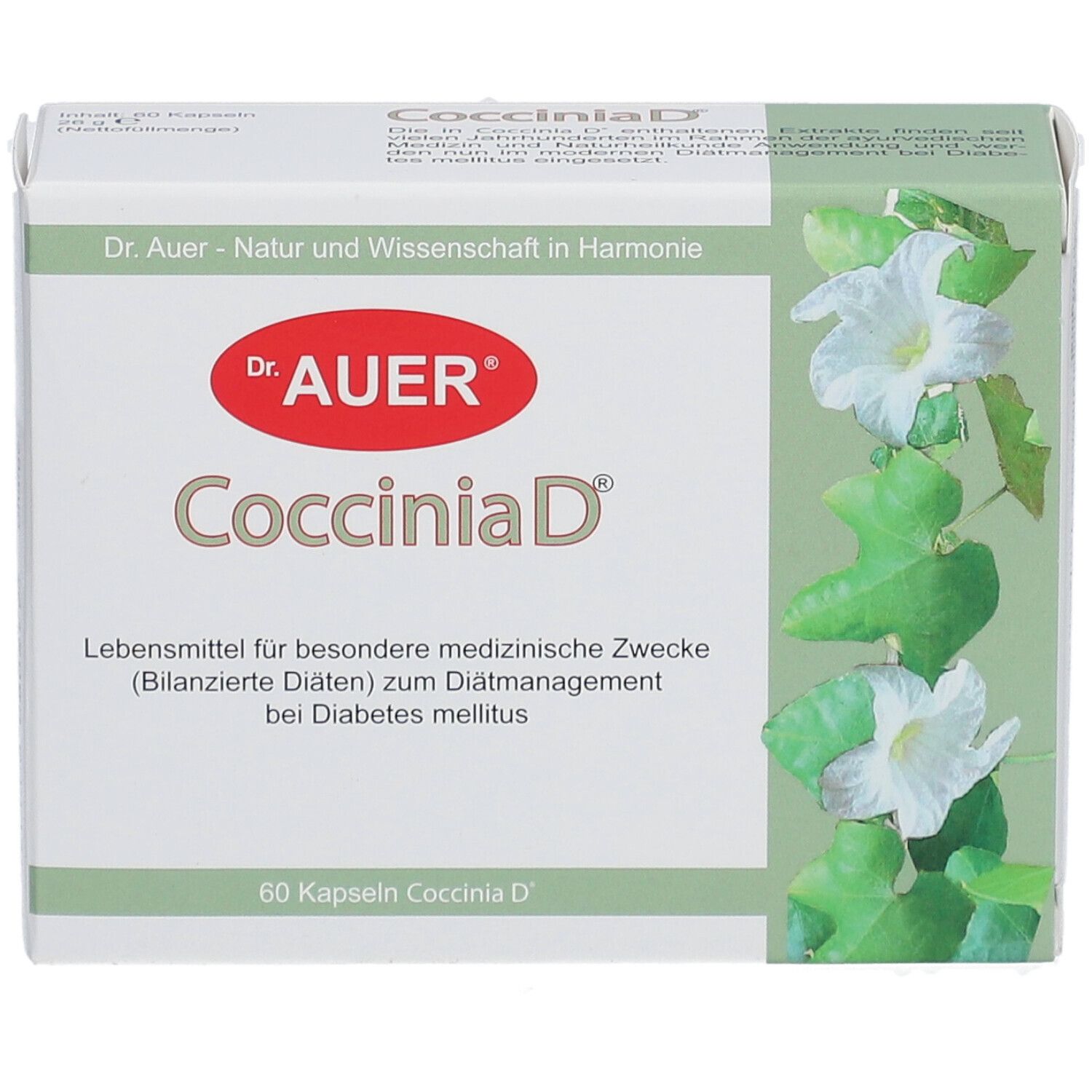 Dr. Auer® Coccinia D®