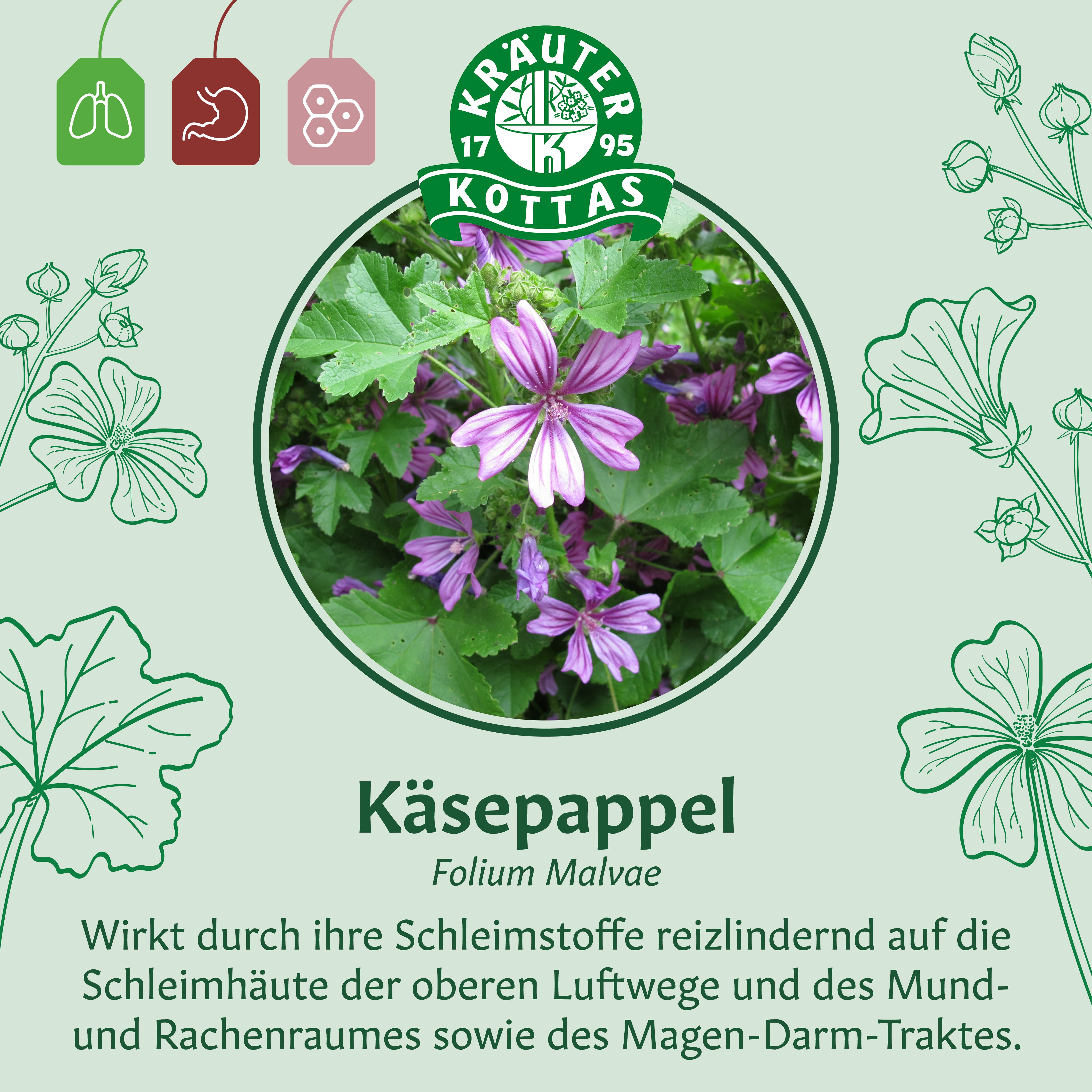 Dr. Kottas Käsepappel Tee, Folium Malvae, mit Abbildung der Pflanze.