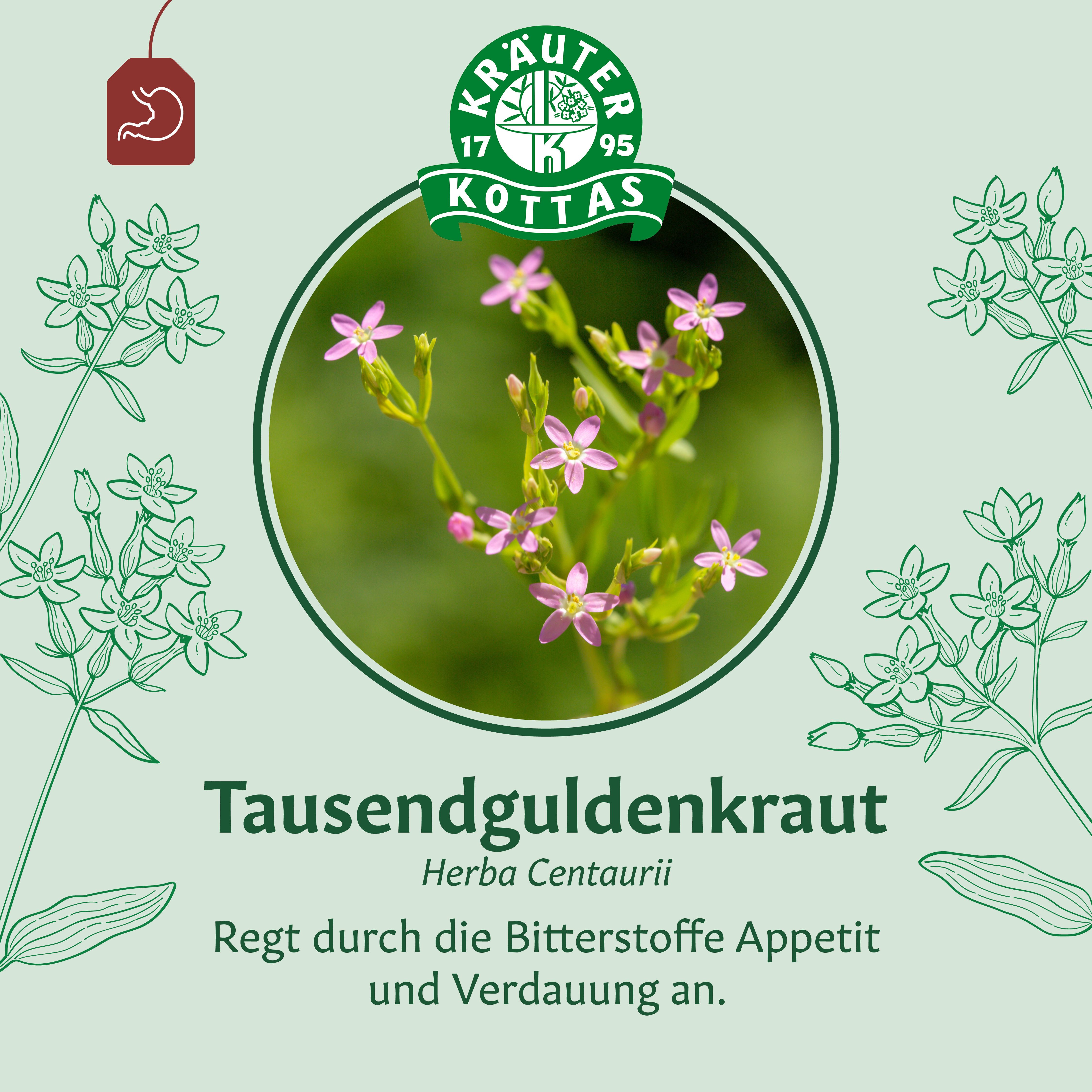 Tausendgüldenkraut Tee: Blüte und Blätter. Kräuter Kottas Logo.