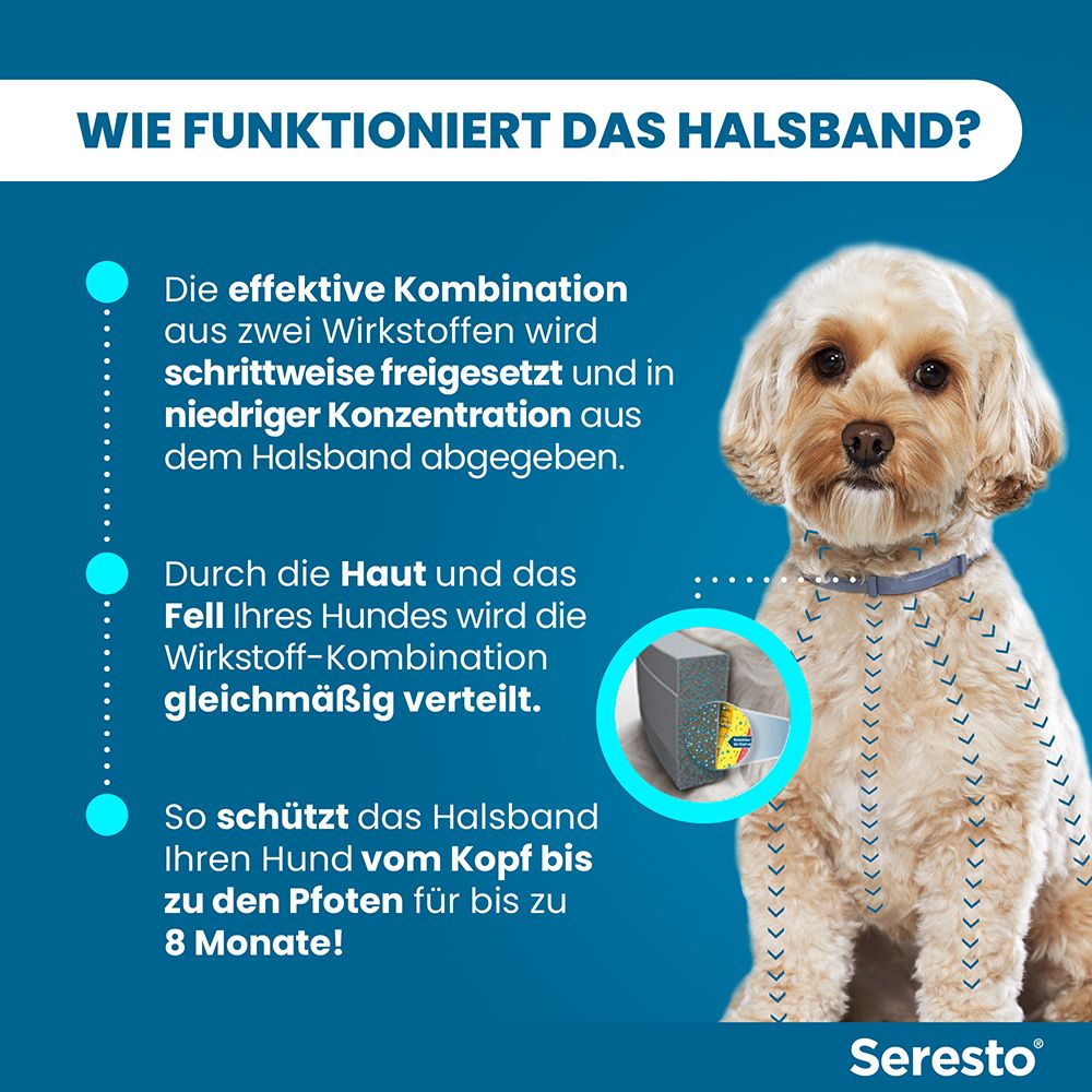 Seresto® Halsband für kleine Hunde < 8 kg