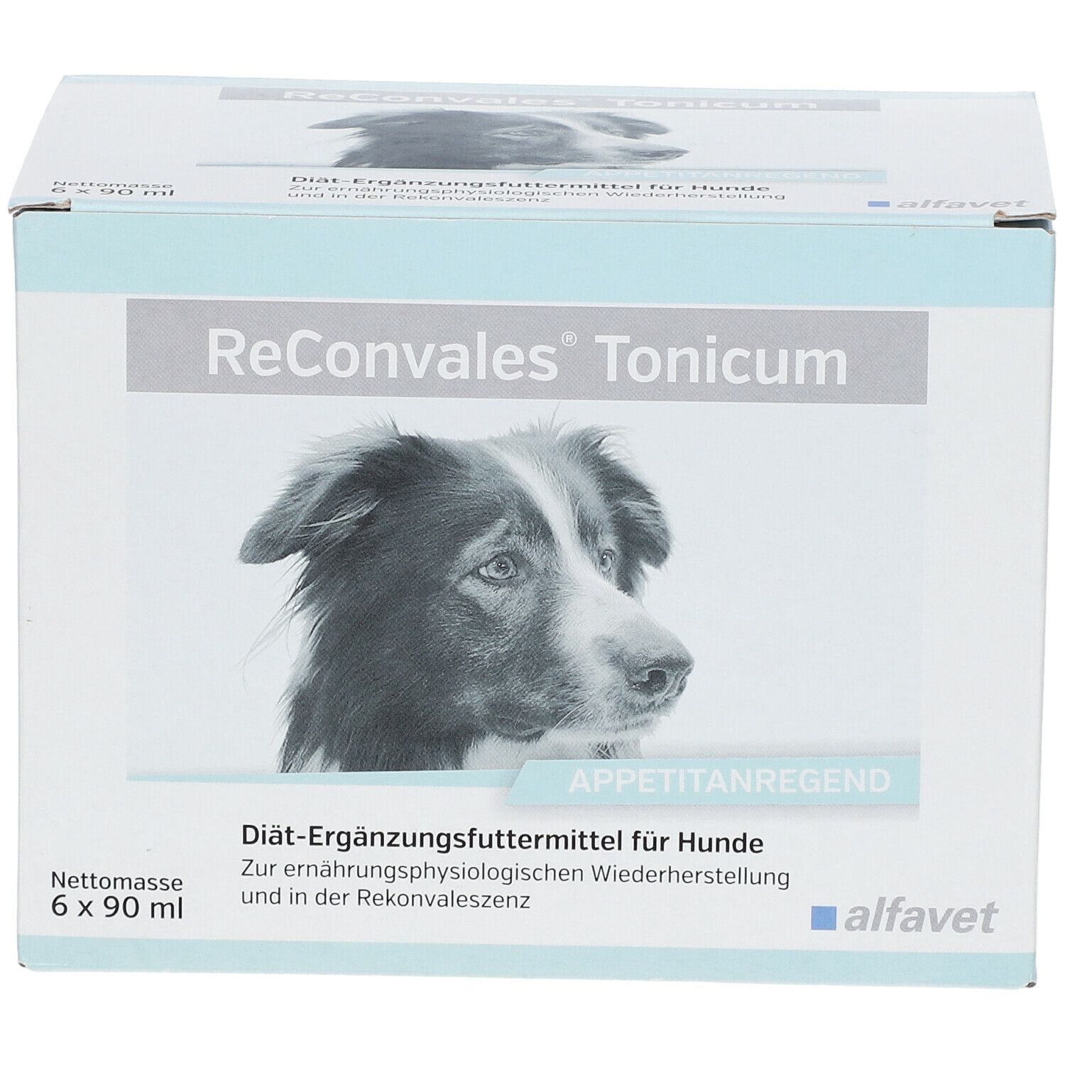 ReConvales® Tonicum für Hunde