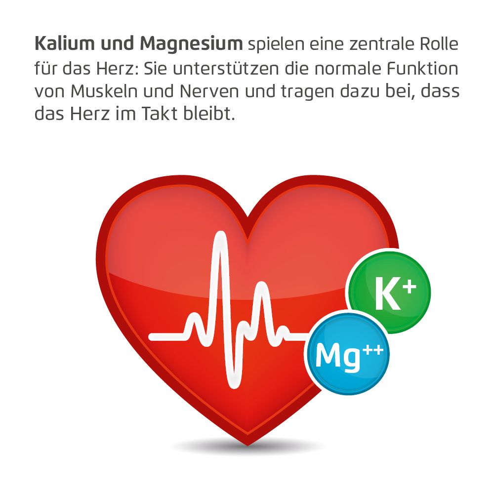Rotes Herz mit EKG-Linie. K+ und Mg++ Symbole. Text: Kalium und Magnesium spielen eine zentrale Rolle für das Herz.