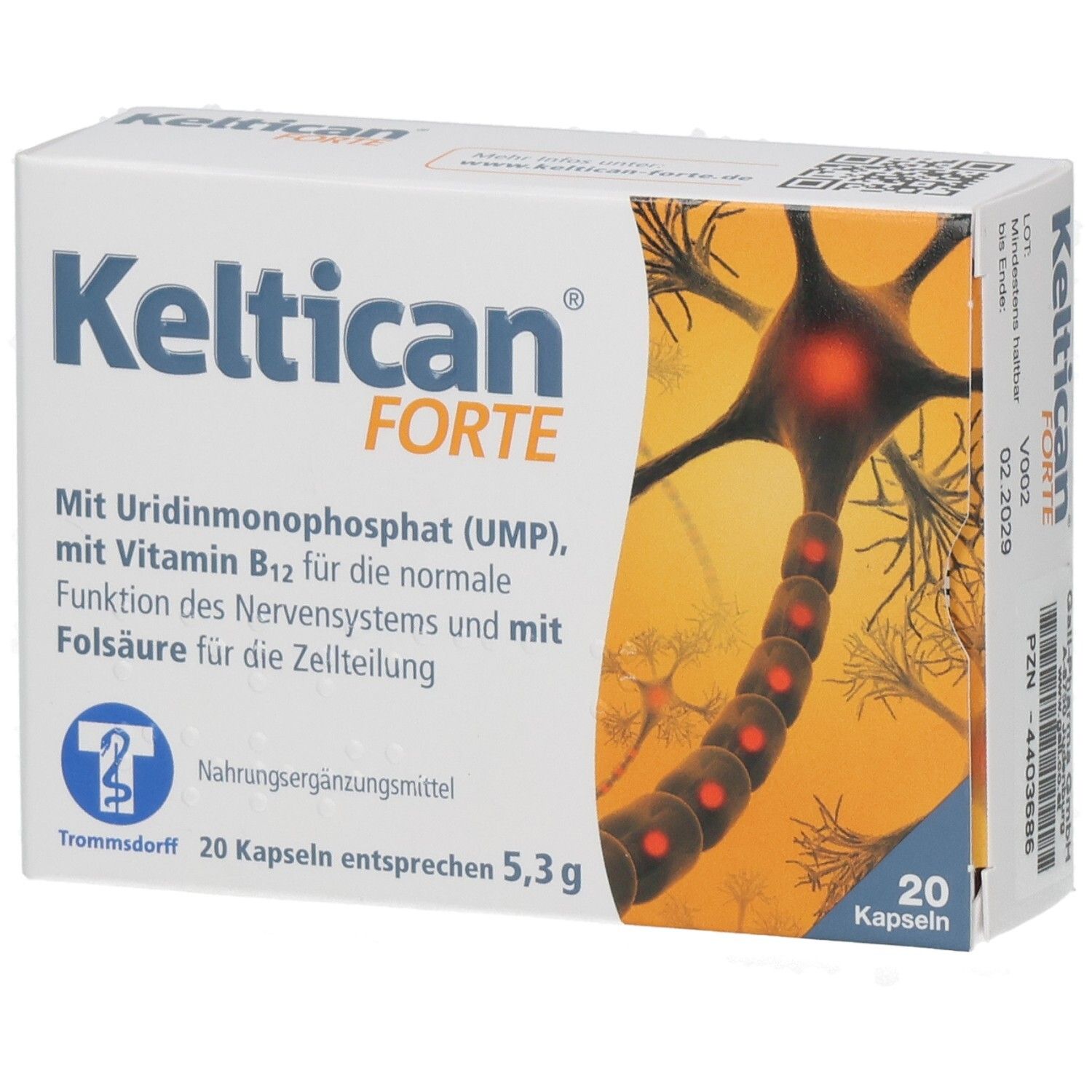 Keltican FORTE-Packung. Enthält 20 Kapseln. Aufdrucke: UMP, Vitamin B12, Folsäure. Abbildung eines Neurons.