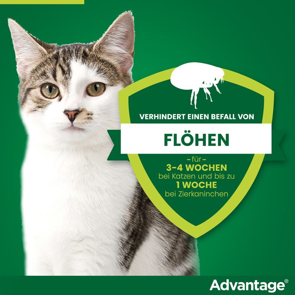 advantage® für kleine Katzen bis 4 kg