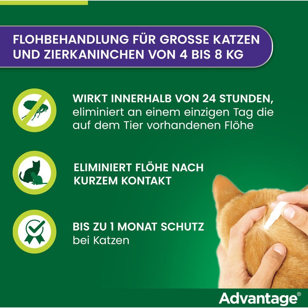 advantage® für große Katzen über 4 kg