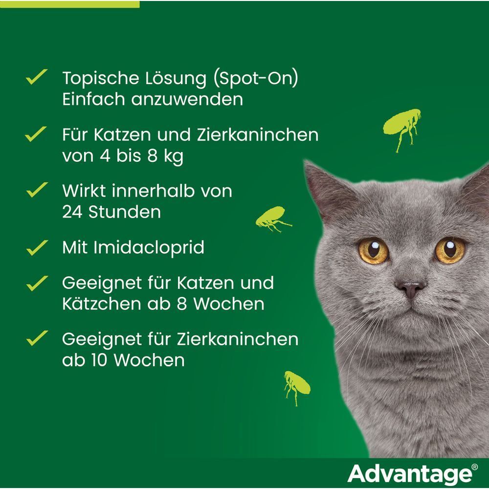 advantage® für große Katzen über 4 kg