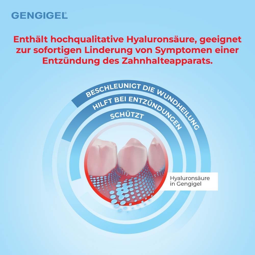 Zahnfleisch-Illustration. Text: Enthält hochwertige Hyaluronsäure. Hilft bei Entzündungen.