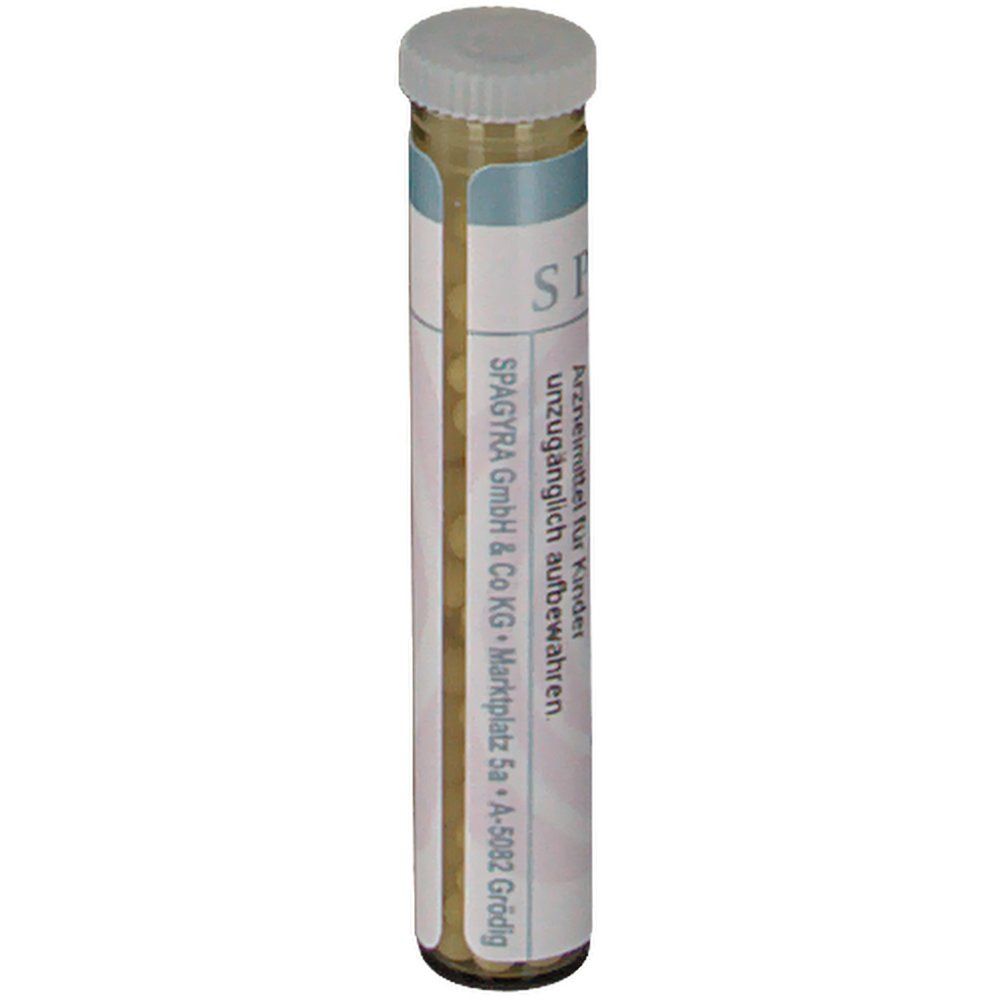 SPAGYRA Pyrogenium nosode C30
